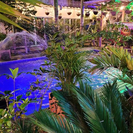 Hostal Hilltop سالنتو المظهر الخارجي الصورة