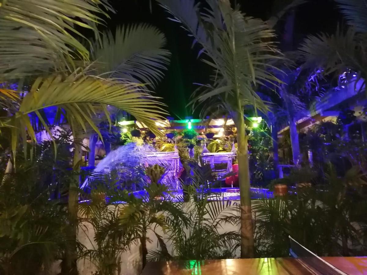 Hostal Hilltop سالنتو المظهر الخارجي الصورة