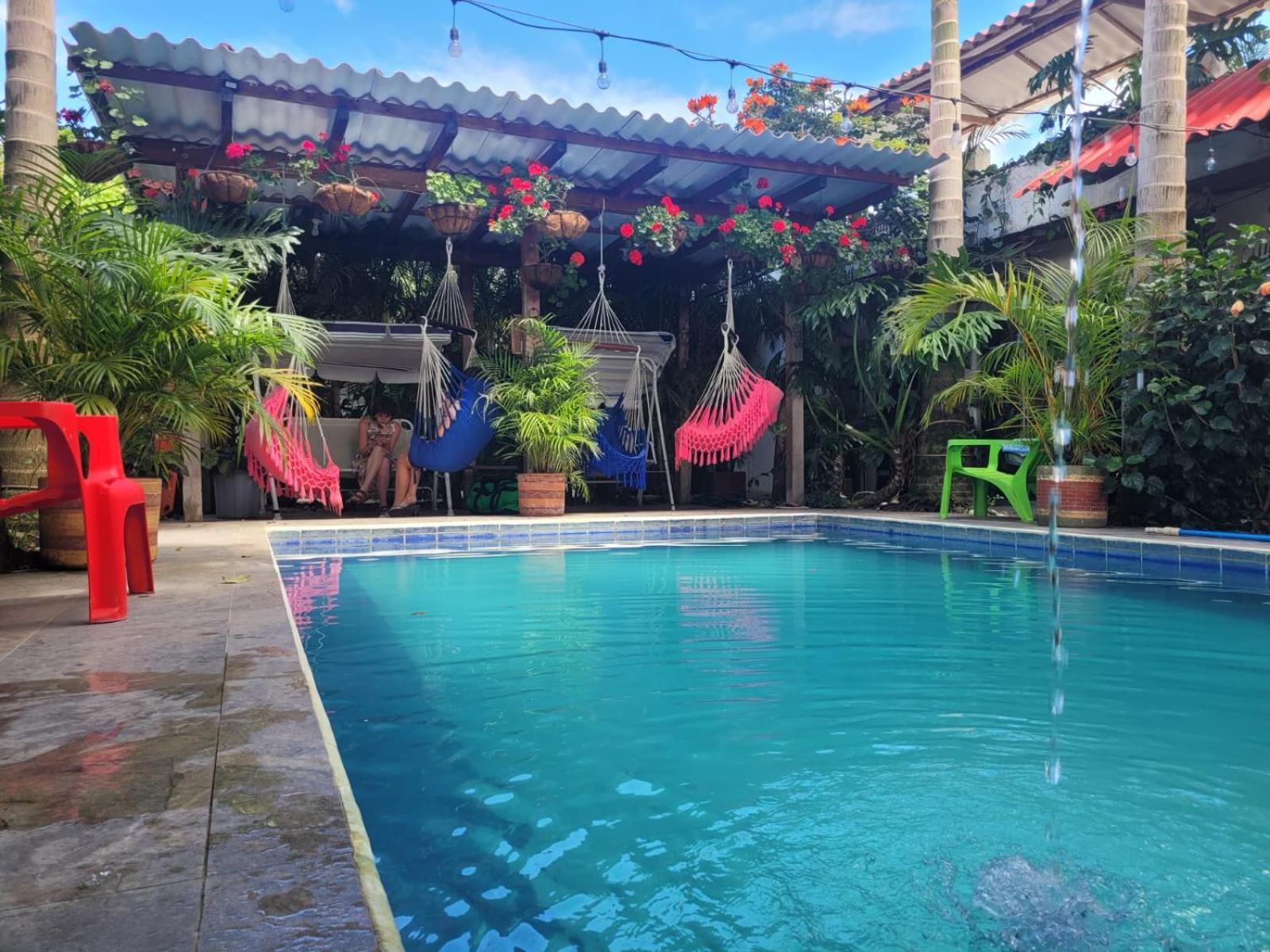 Hostal Hilltop سالنتو المظهر الخارجي الصورة